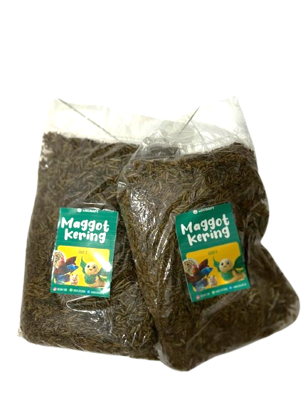 Maggot Kering